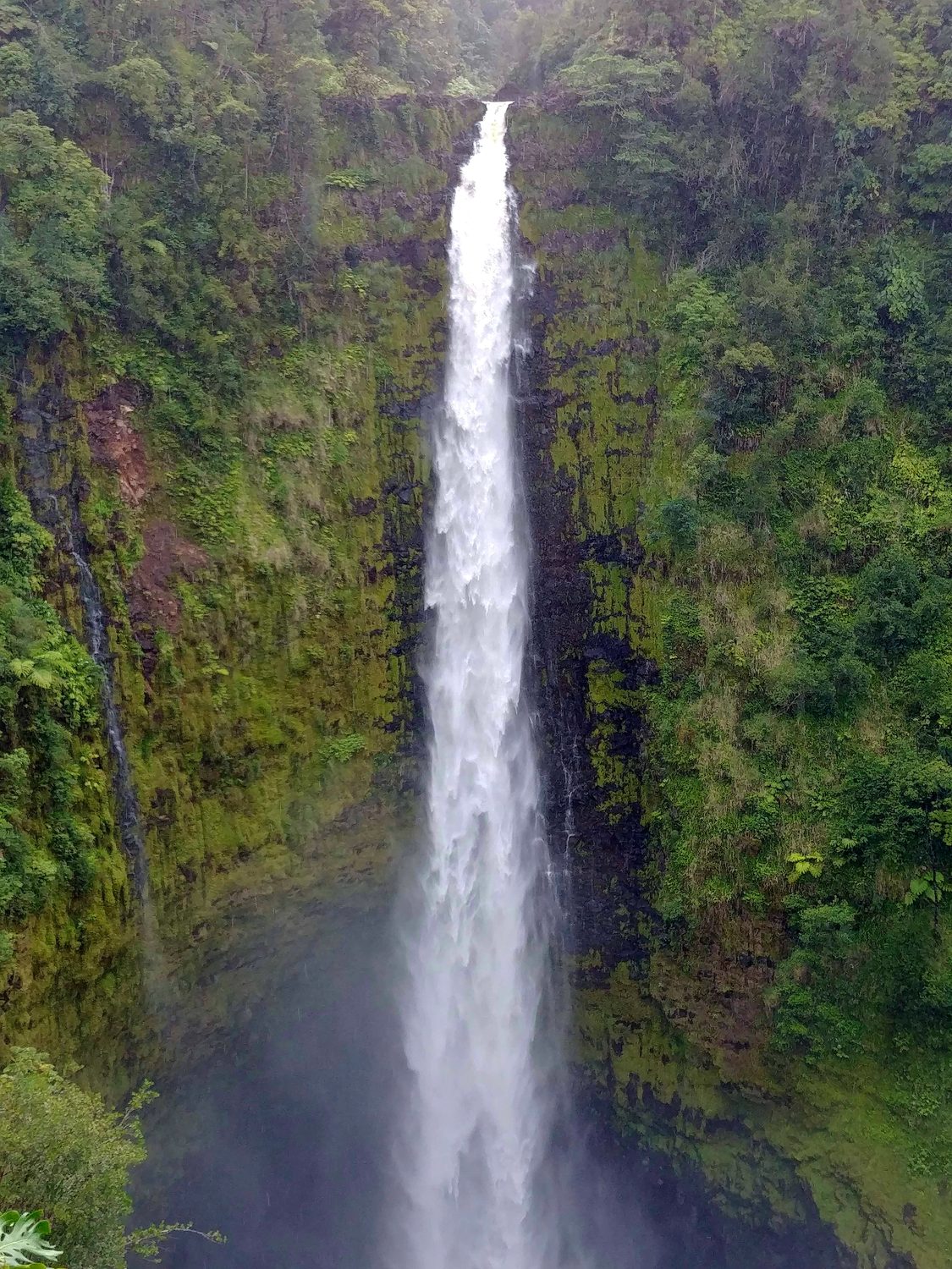 Falling Water — Litt Visual