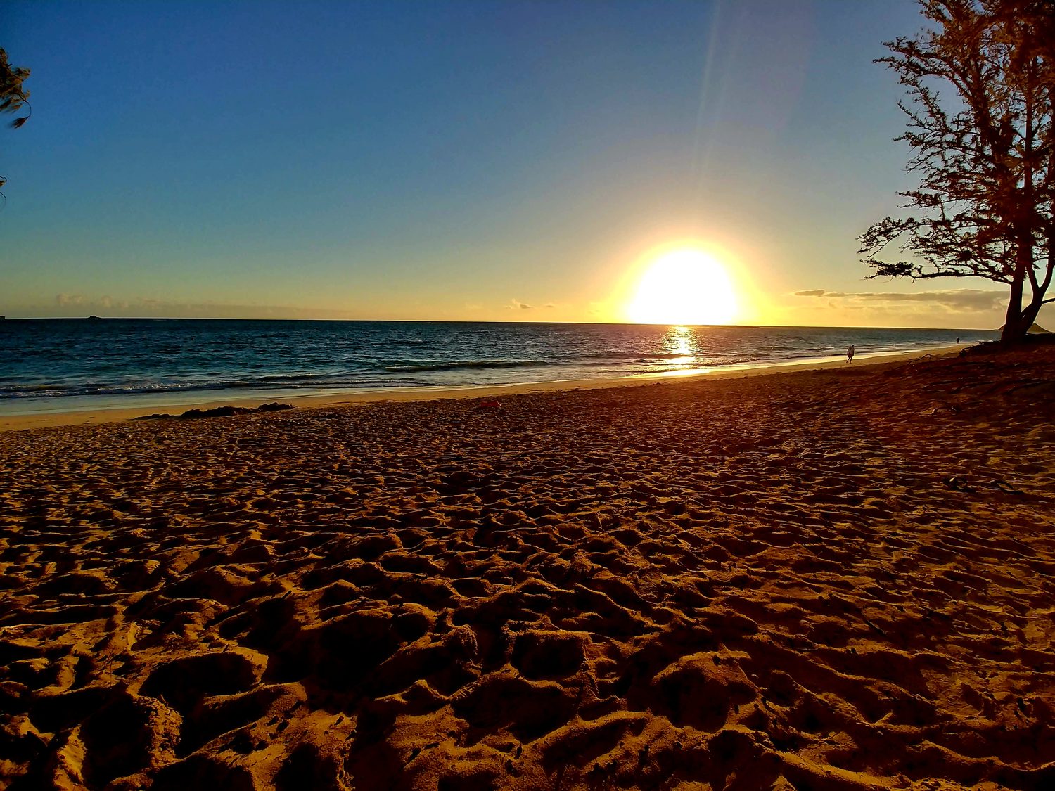 Low Tide, Gold Hour — Litt Visual