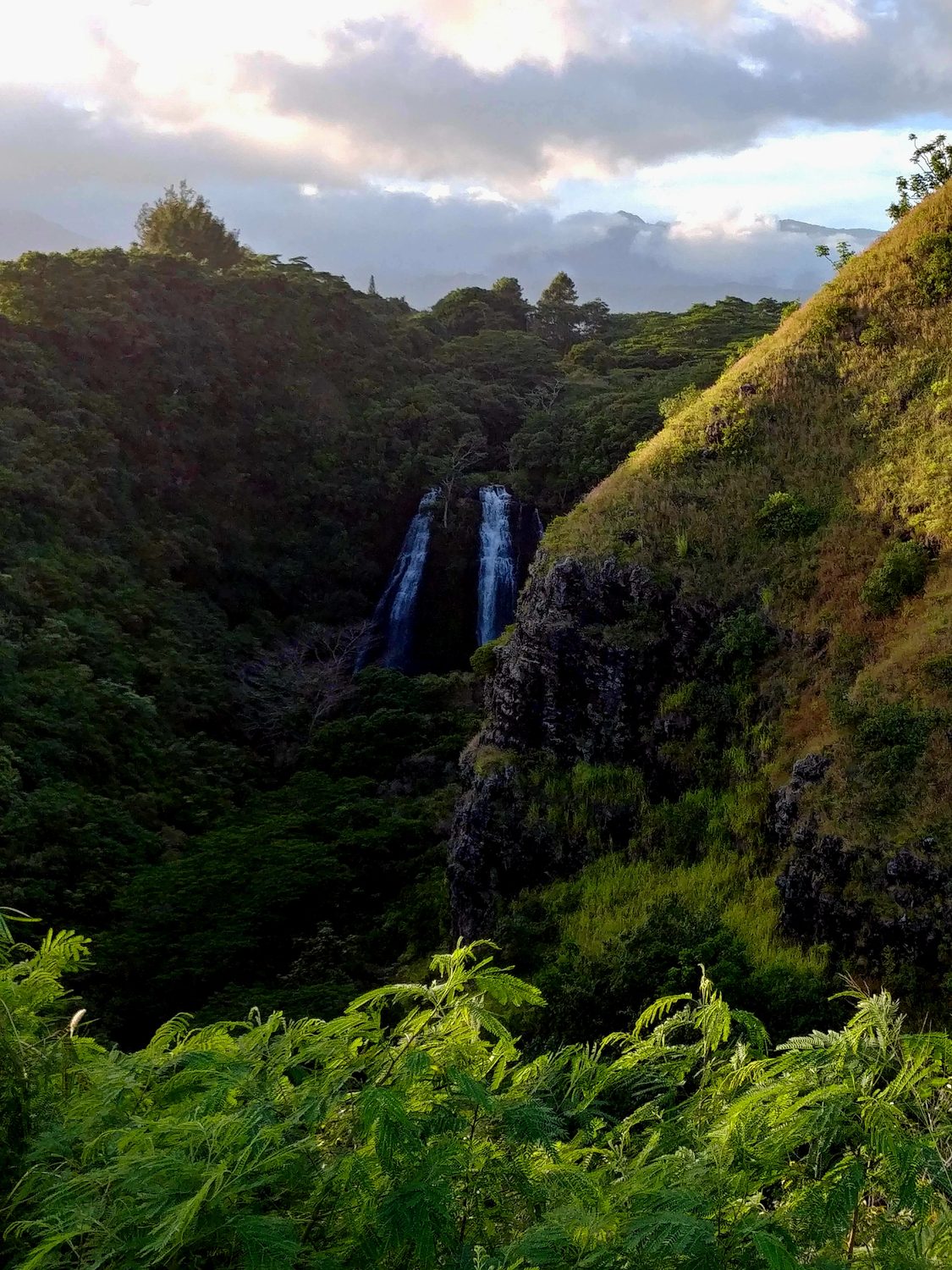 The Cascade — Litt Visual