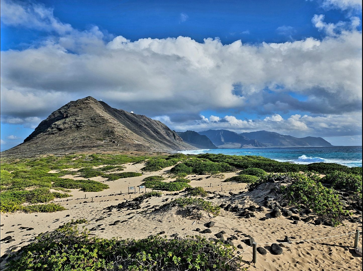 Dune Grass — Litt Visual