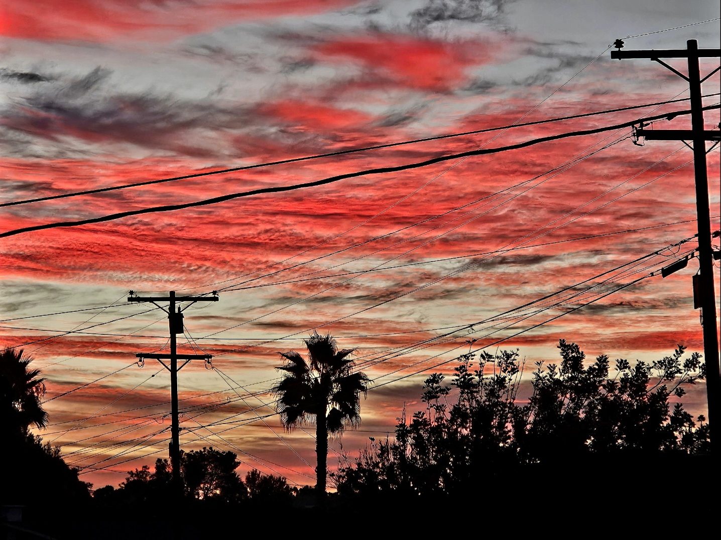 Powerlines & Fire — Litt Visual